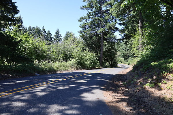 Mosier Rd 031