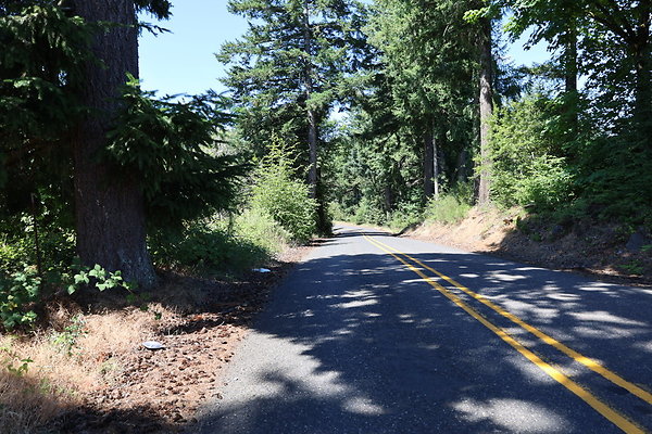 Mosier Rd 046