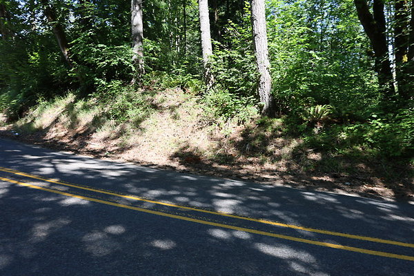 Mosier Rd 009