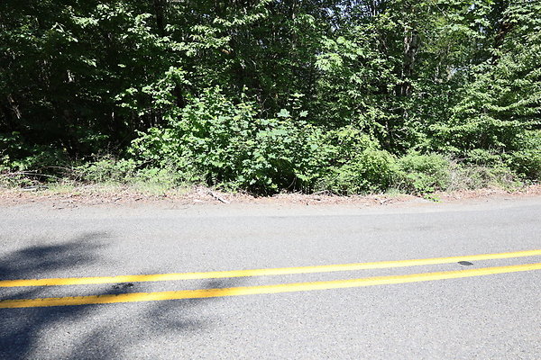 Mosier Rd 025