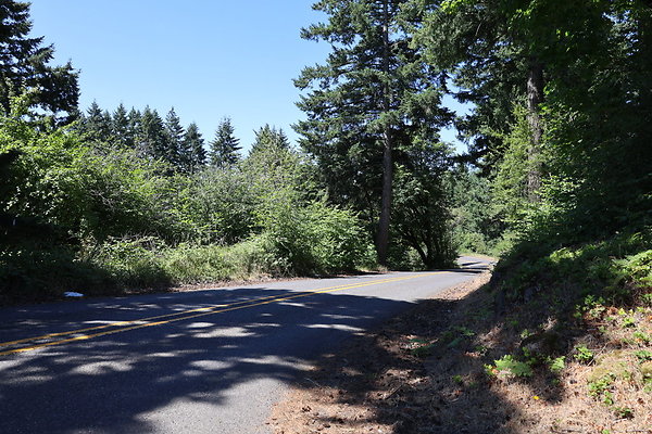 Mosier Rd 035