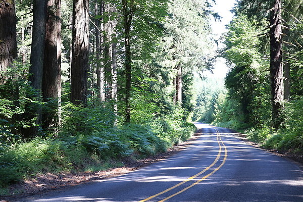 Mosier Rd 021