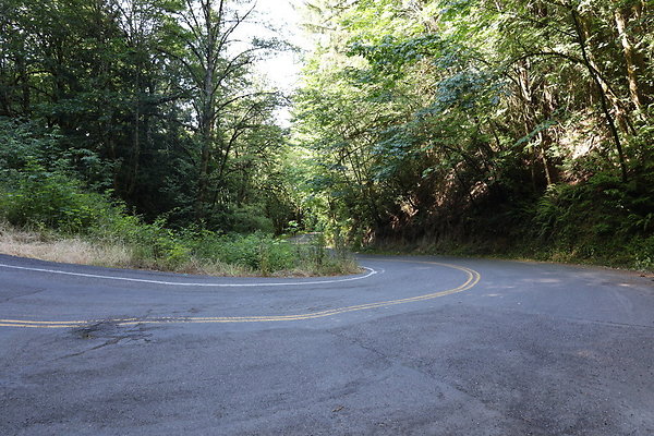 Logie Trail Rd 027