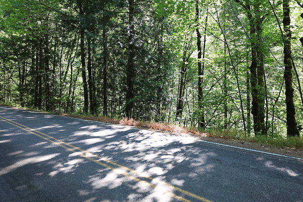 Logie Trail Rd 046