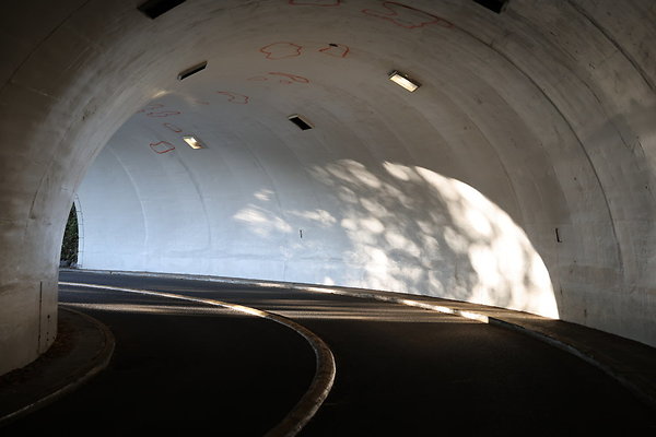 Rocky Butte Tunnel 106