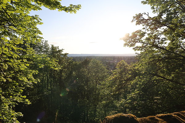 Rocky Butte Tunnel 008