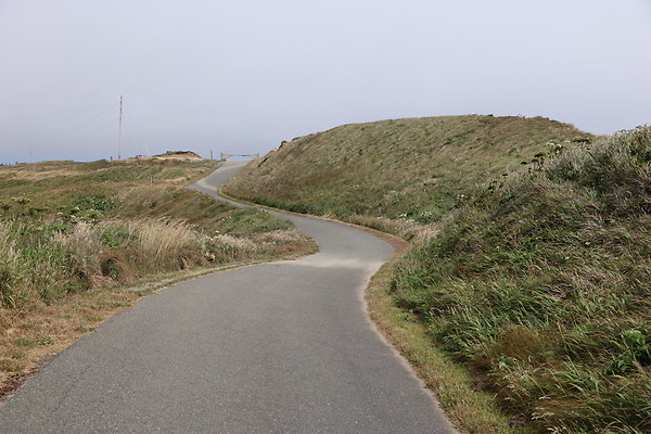 Cape Blanco East  43