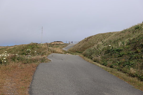Cape Blanco East  39