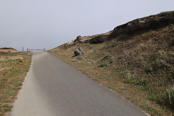 Cape Blanco East  50