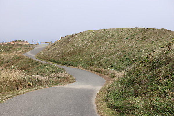 Cape Blanco East  44