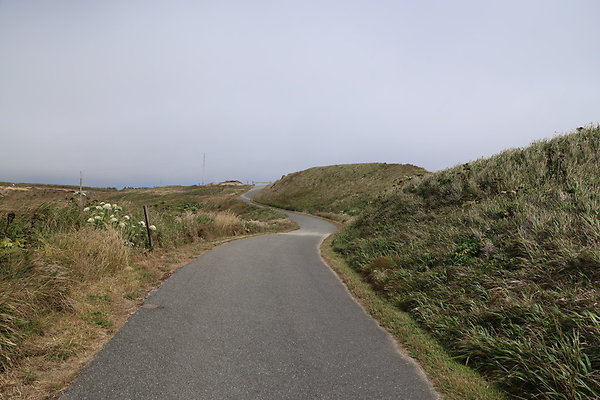 Cape Blanco East  42