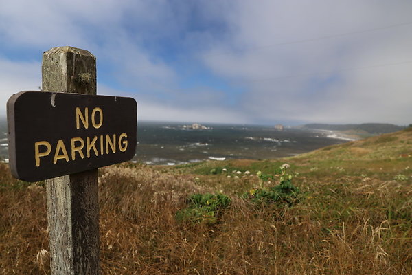 Cape Blanco East  49