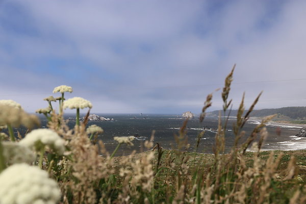 Cape Blanco East  41