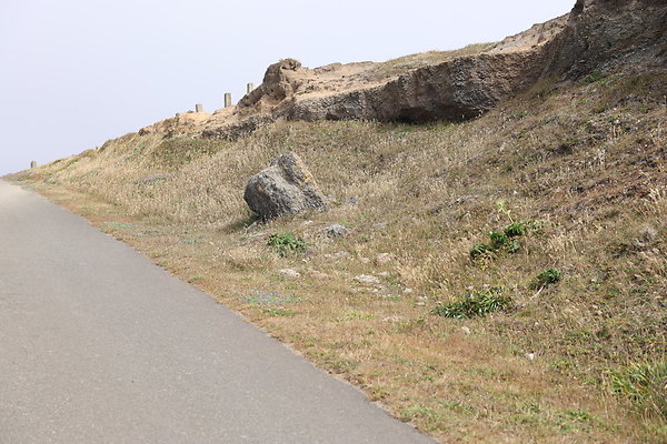 Cape Blanco East  52