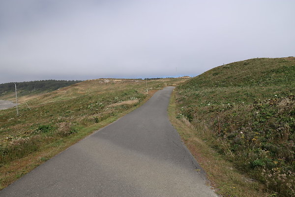 Cape Blanco East  36