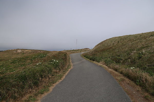 Cape Blanco East  45