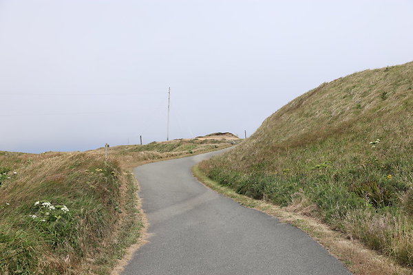 Cape Blanco East  46