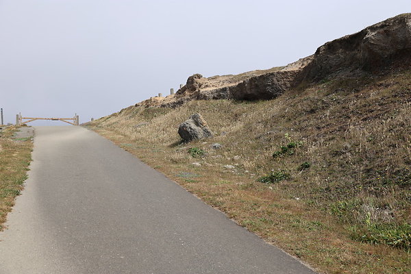 Cape Blanco East  51