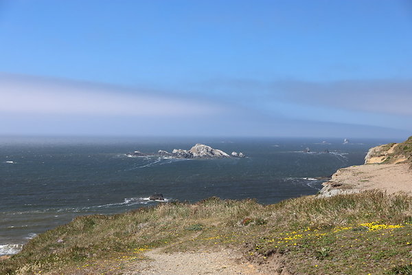 Cape Blanco North  11