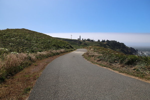 Cape Blanco West  017
