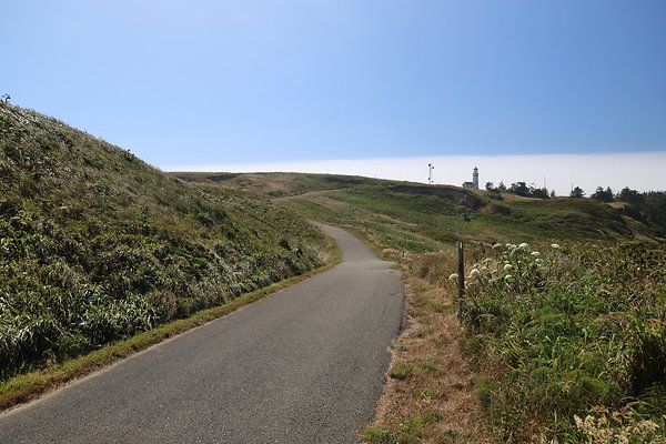 Cape Blanco West  023