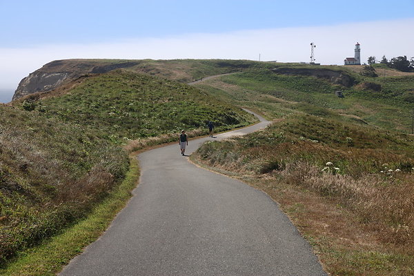Cape Blanco West  013
