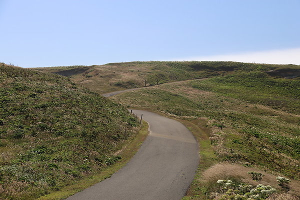 Cape Blanco West  028