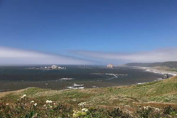 Cape Blanco West  021