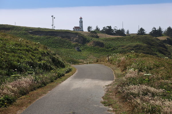 Cape Blanco West  019