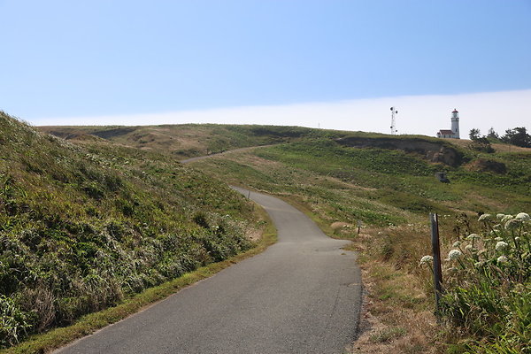 Cape Blanco West  024