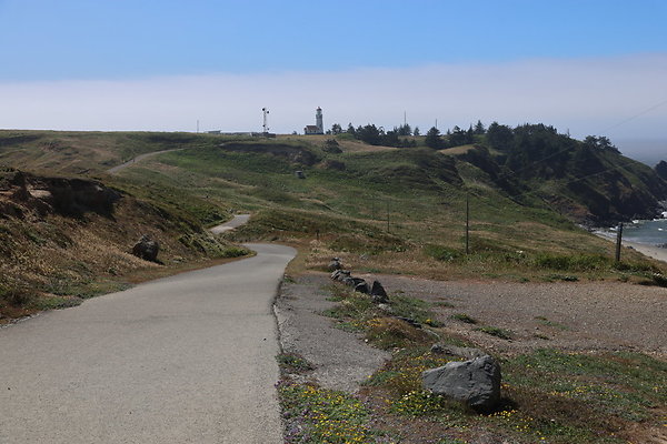 Cape Blanco West  002