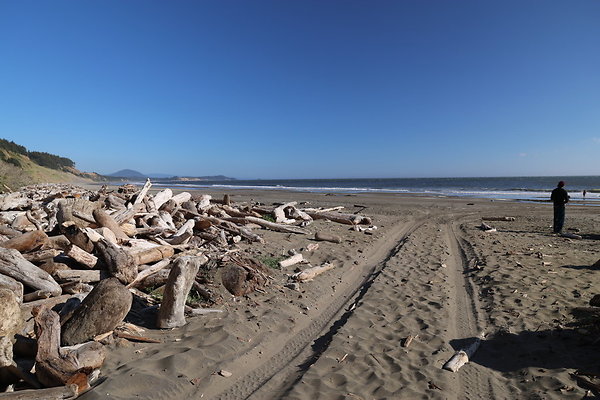 Cape Blanco Pullout &amp; Road (campsite)  14