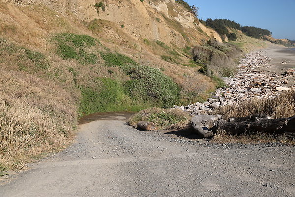 Cape Blanco Pullout &amp; Road (campsite)  01