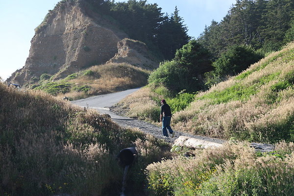 Cape Blanco Pullout &amp; Road (campsite)  24