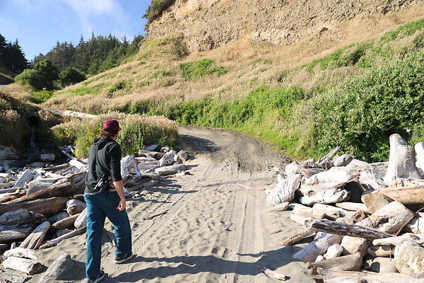 Cape Blanco Pullout &amp; Road (campsite)  16