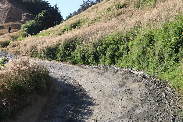 Cape Blanco Pullout &amp; Road (campsite)  26