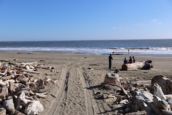 Cape Blanco Pullout &amp; Road (campsite)  11