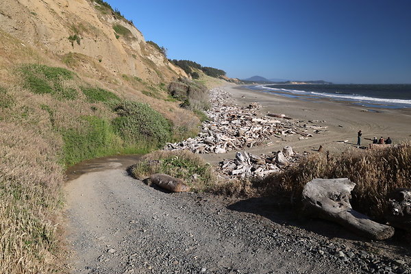 Cape Blanco Pullout &amp; Road (campsite)  05