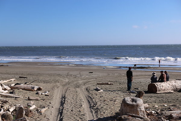 Cape Blanco Pullout &amp; Road (campsite)  12