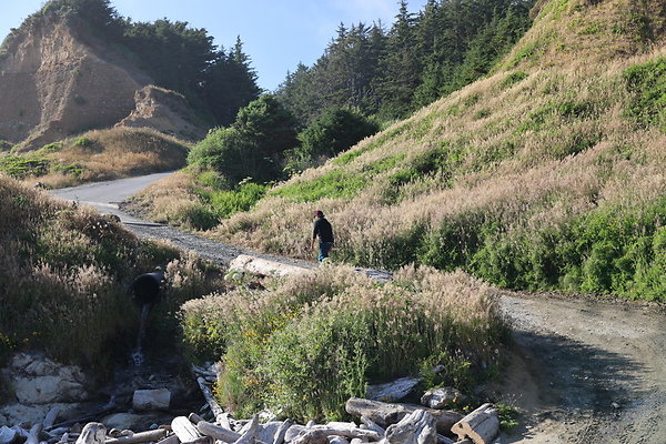 Cape Blanco Pullout &amp; Road (campsite)  22