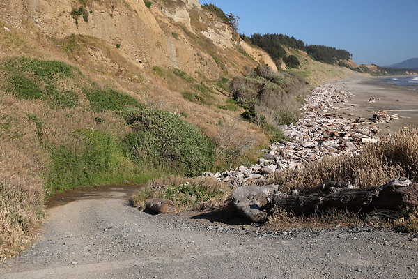 Cape Blanco Pullout &amp; Road (campsite)  02