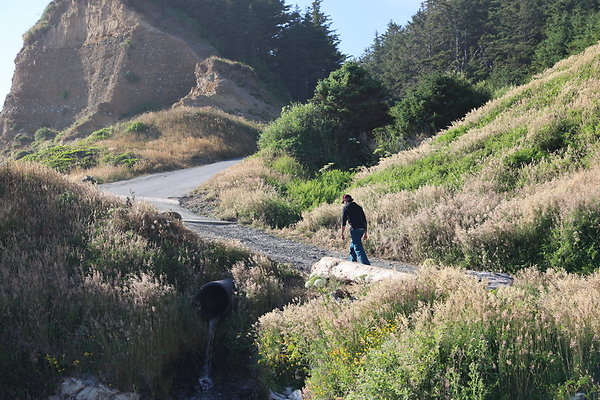 Cape Blanco Pullout &amp; Road (campsite)  23