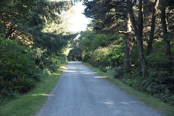 Cape Blanco Horse Camp Rr  14