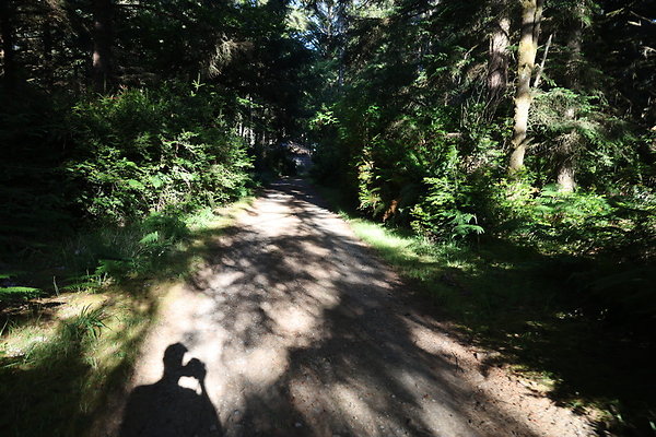 Cape Blanco Horse Camp Rr  21