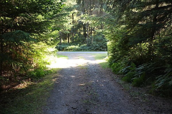 07 Cape Blanco Horse Camp Rd