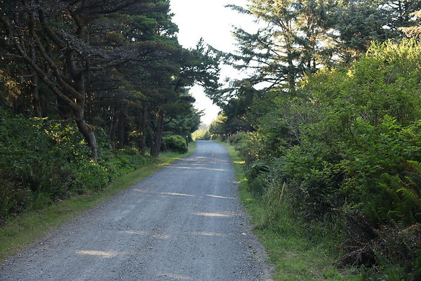 Cape Blanco Horse Camp Rr  11