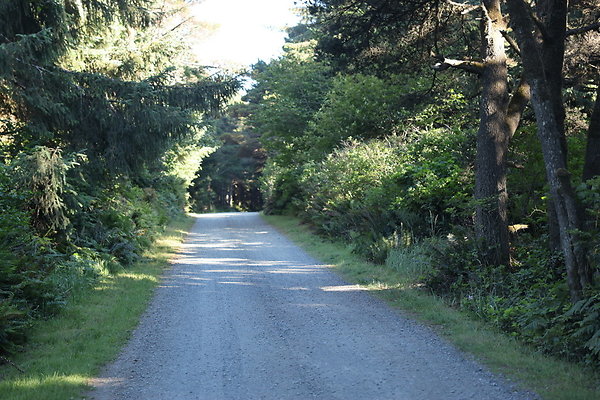 Cape Blanco Horse Camp Rr  15