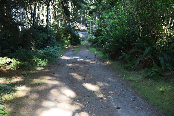 Cape Blanco Horse Camp Rr  23