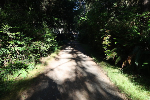 Cape Blanco Horse Camp Rr  22