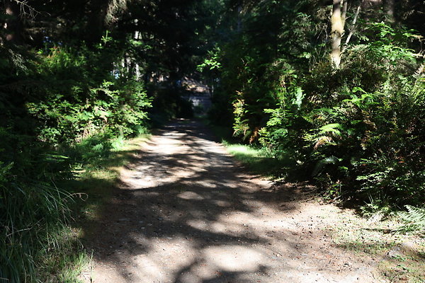 Cape Blanco Horse Camp Rr  20